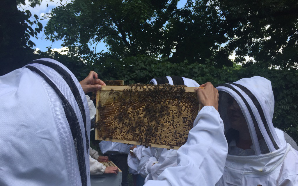 A group of middle-grade children take notes on clipboards while looking at a large plant