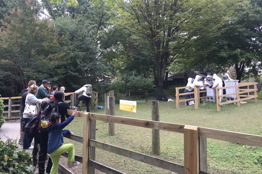The Bee Sanctuary at the Queens Zoo cared for by The Bee Conservancy