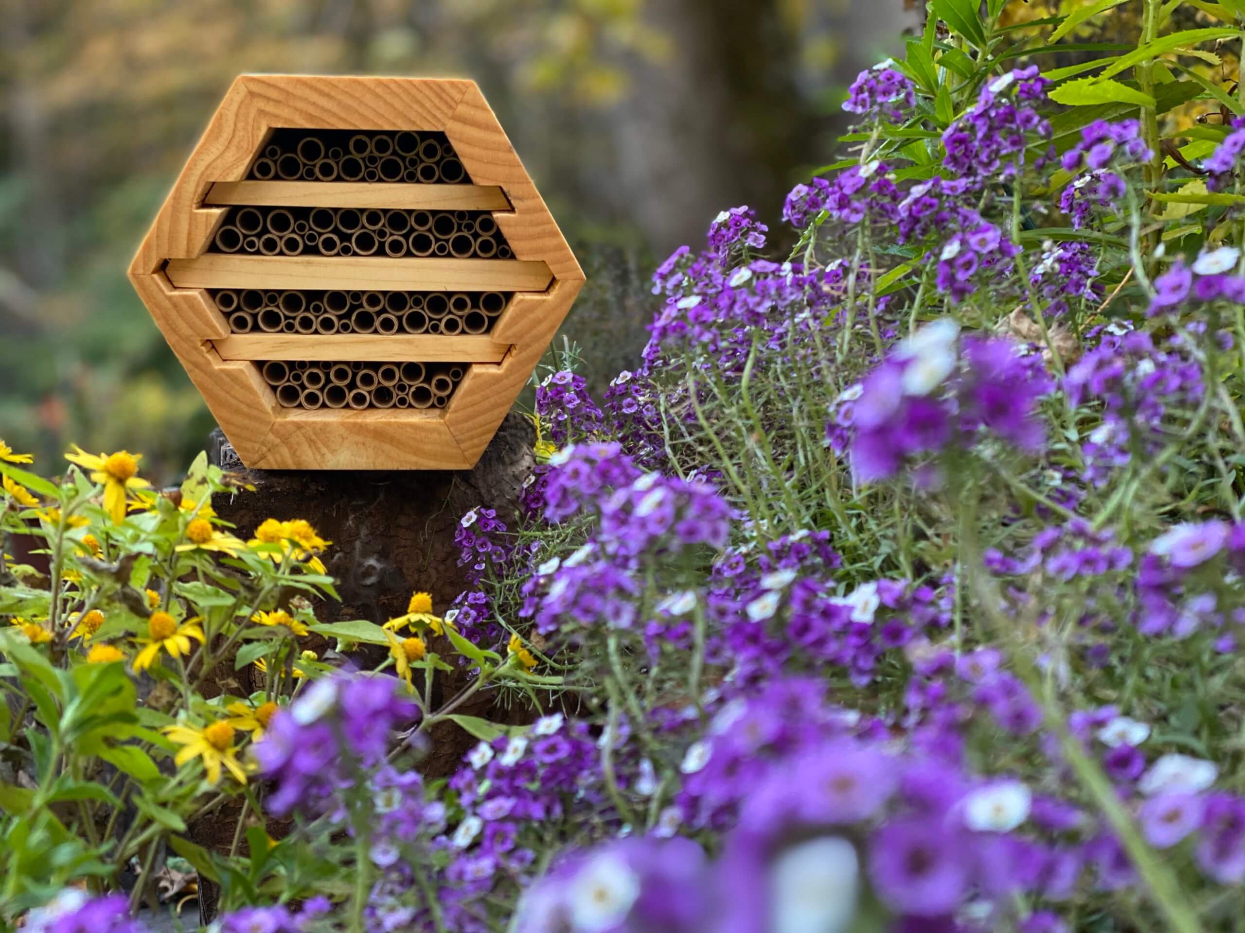 Native bee house designed by The Bee Conservancy for their Sponsor A Hive program.
