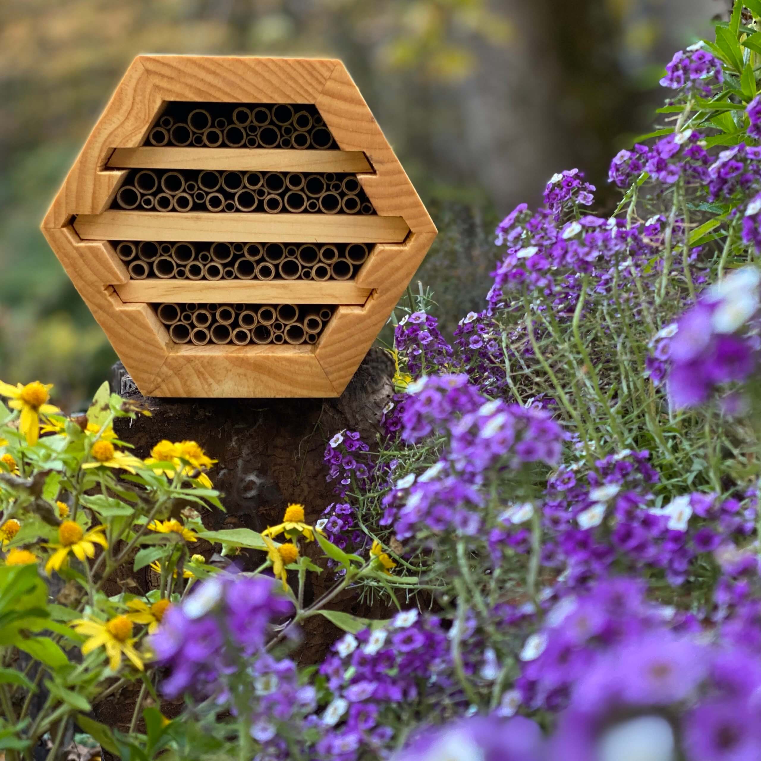 The exclusive native bee house by The Bee Conservancy