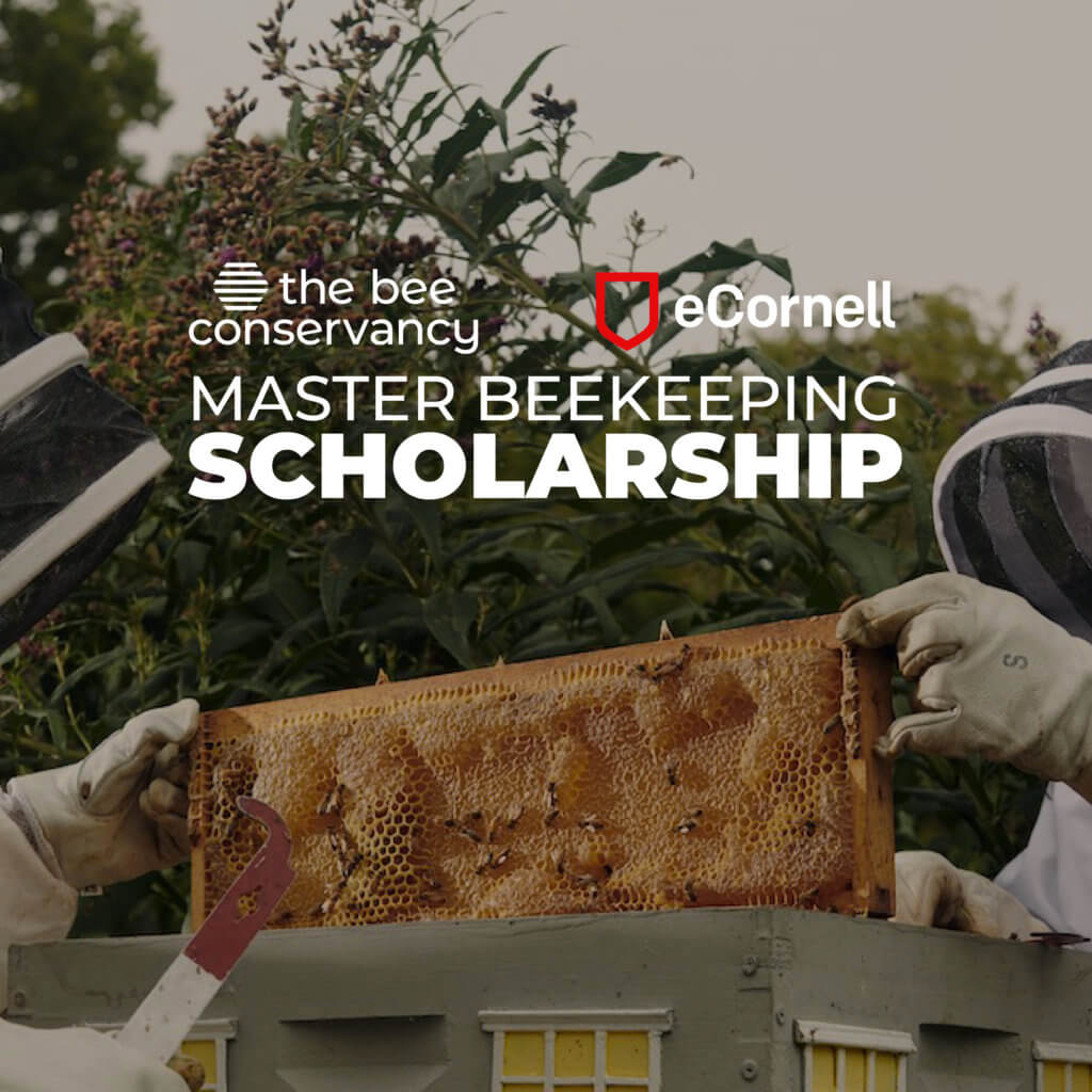 Cornell 2022 23 Calendar Education - The Bee Conservancy