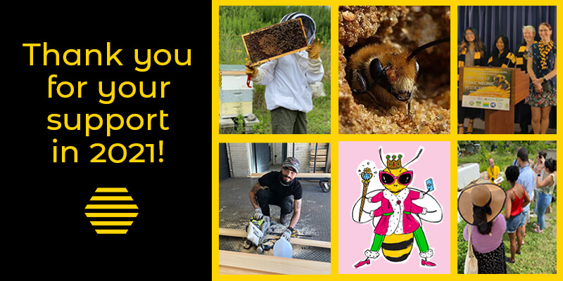 Year in Review: 2021 with The Bee Conservancy