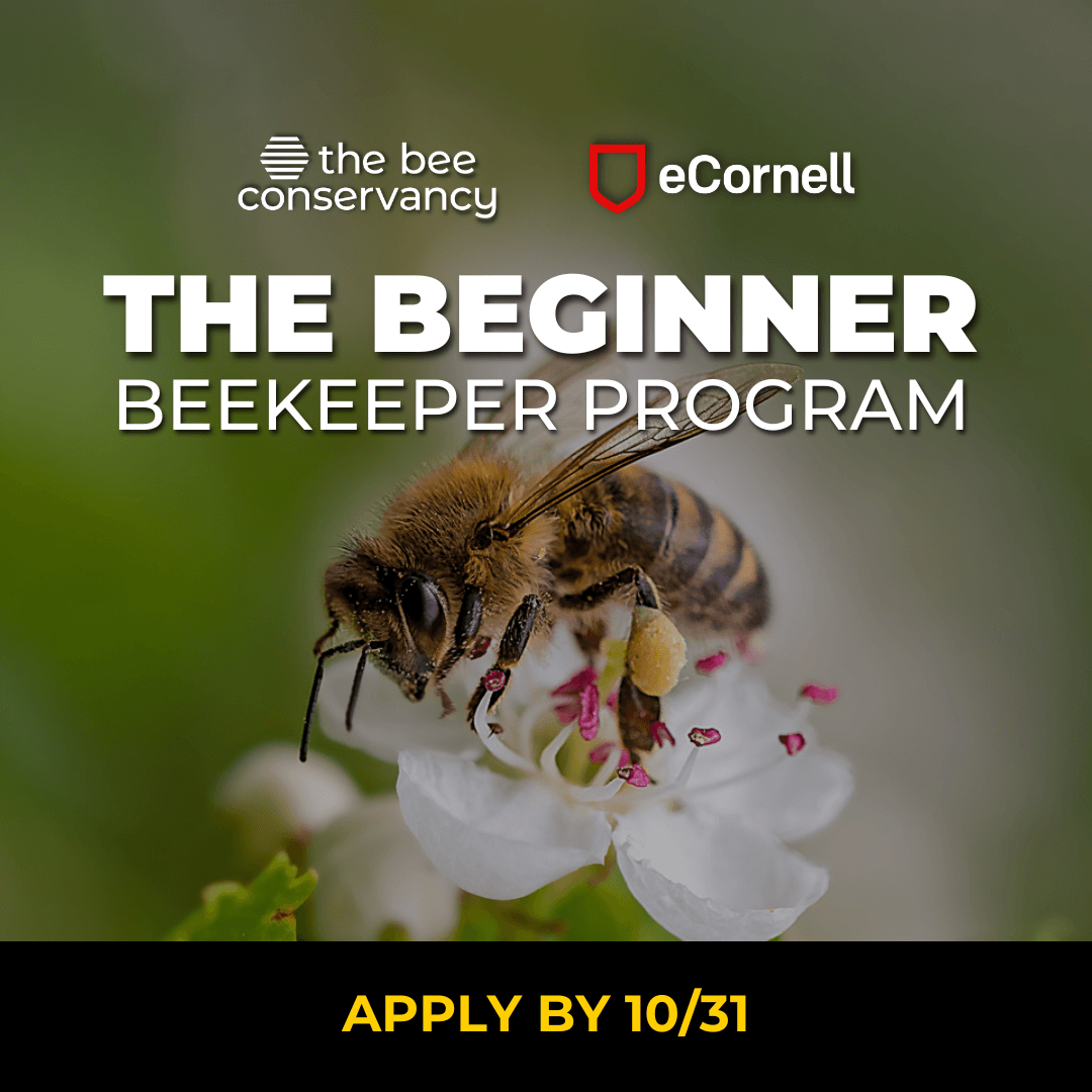 The Bee Conservancy scholarship to Cornell University's Master Beekeeper Certification Program 