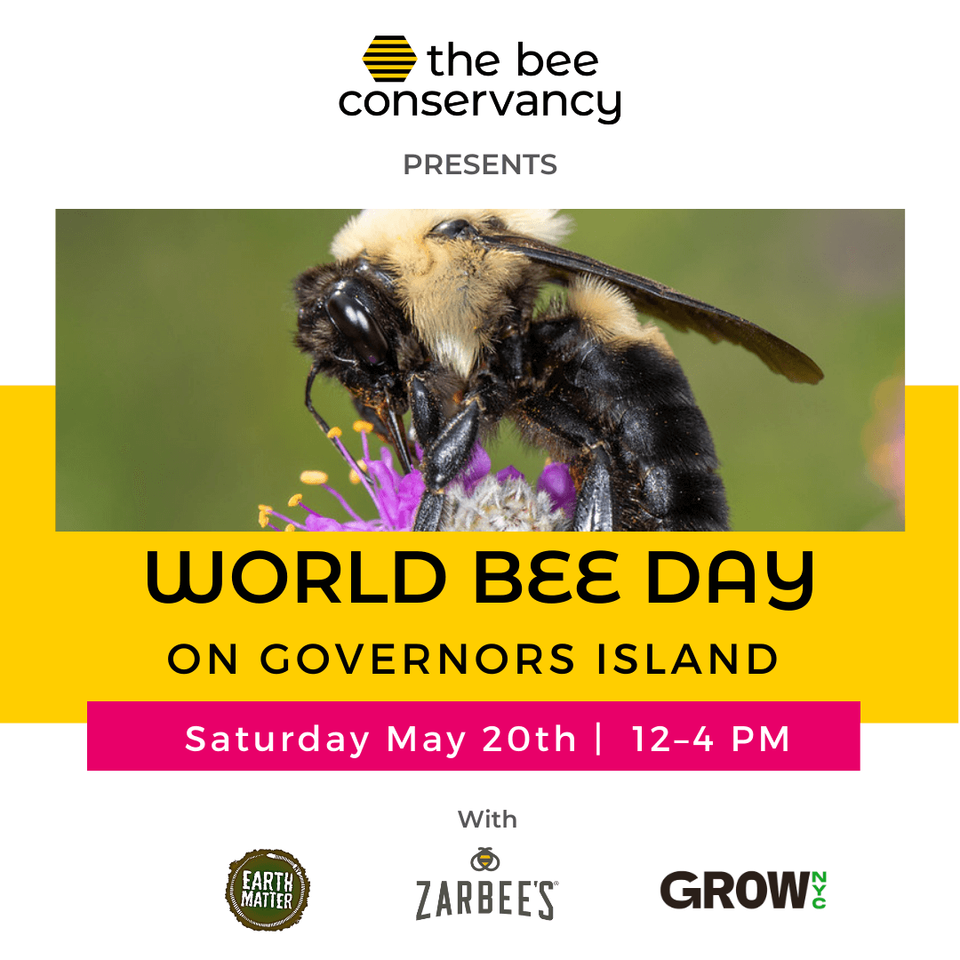 World Bee Day on Governors Island with The Bee Conservancy