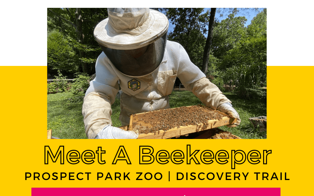 Meet A Beekeeper @ Prospect Park Zoo