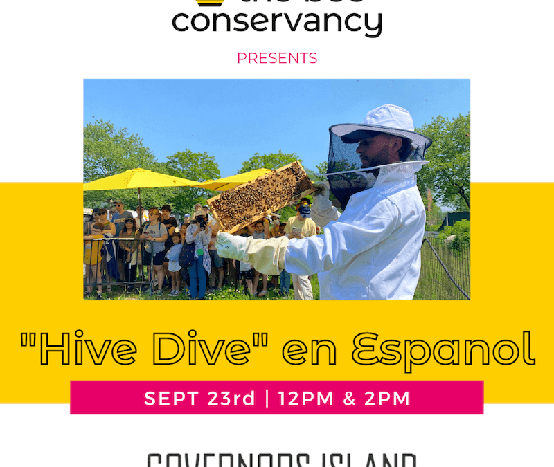 Hive Dive en Espanol On Governors Island
