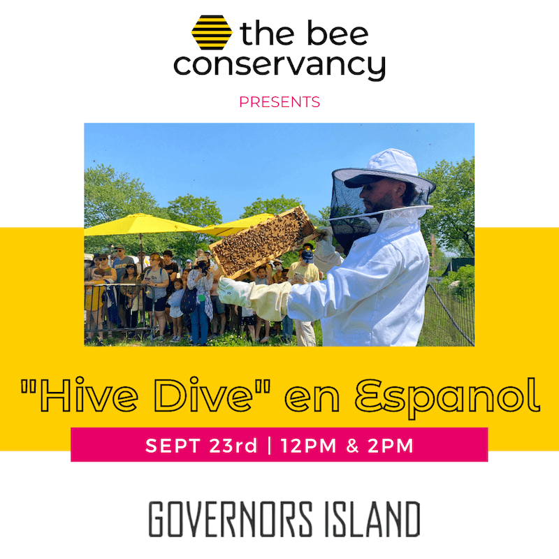 Promotional poster for 'The Bee Conservancy.' A man in white beekeeping attire holds up a frame covered in bees, with a group of people watching in the background. They are in an outdoor setting with trees and blue skies. The poster reads: 'The Bee Conservancy presents "Hive Dive" en Español on September 23rd at 12 PM & 2 PM at Governors Island.