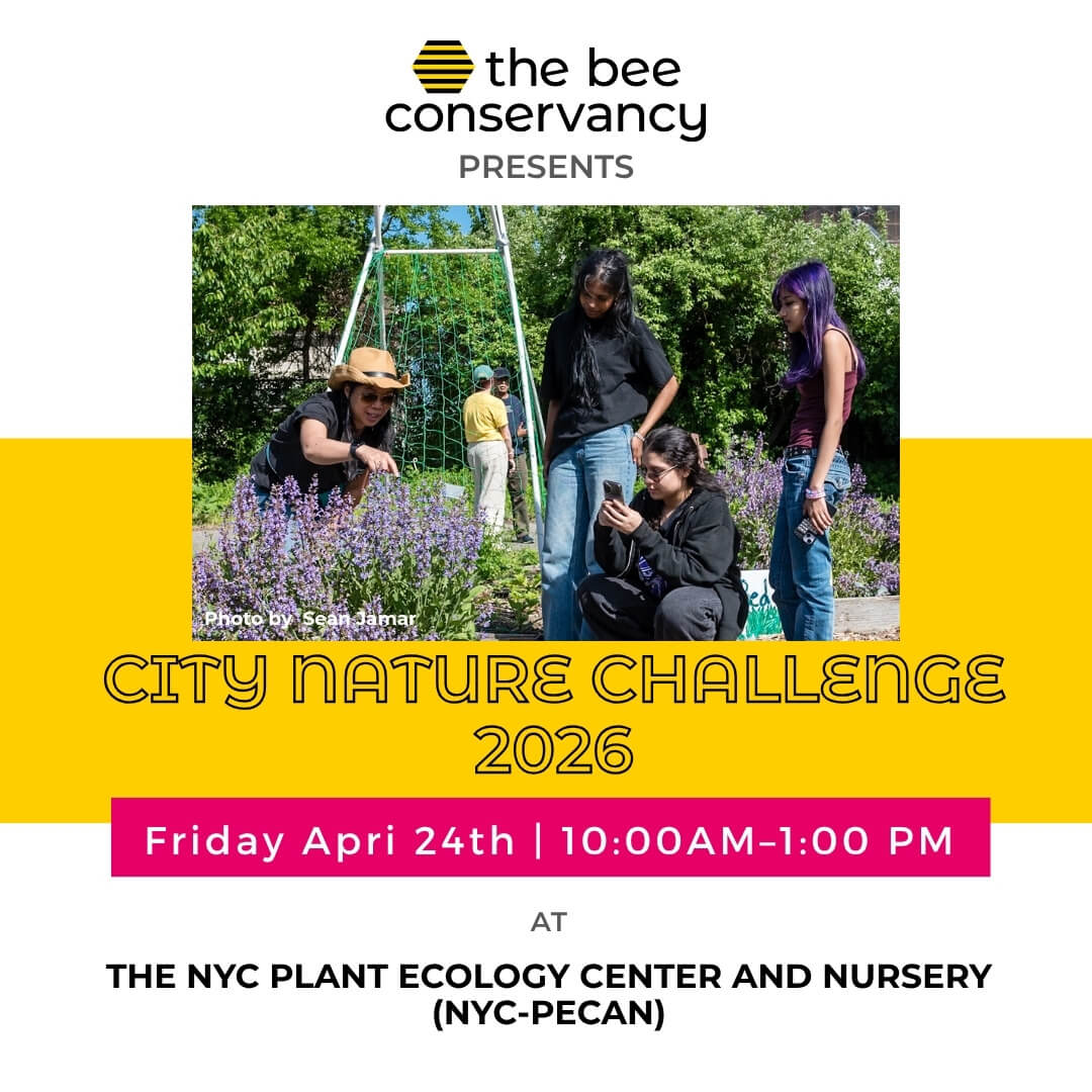 An ad promoting World Bee Day 2024 with The Bee Consrvancy. Features two photos: Green Metallic Sweat Bee and a Mining Bee.