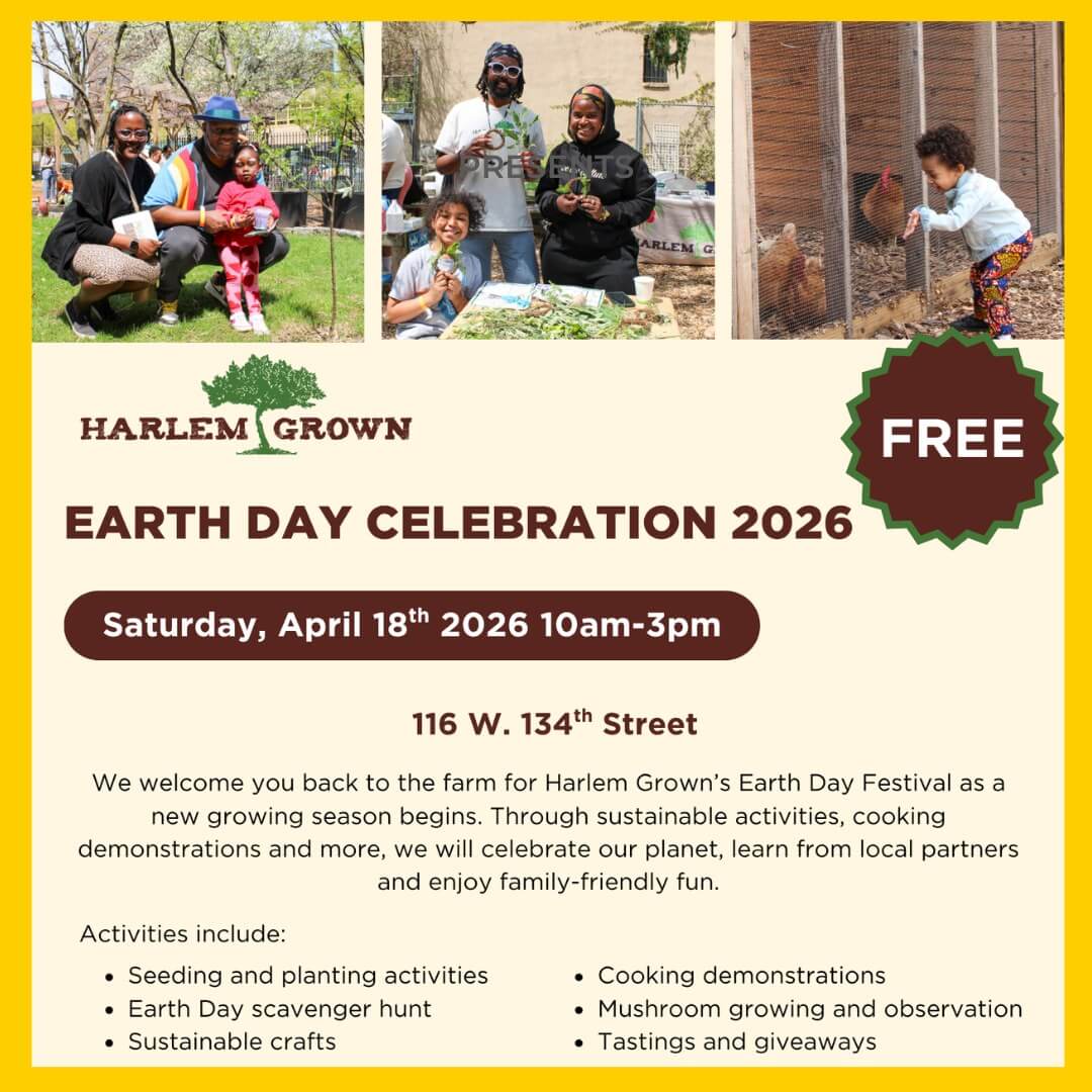 An ad promoting World Bee Day 2024 with The Bee Consrvancy. Features two photos: Green Metallic Sweat Bee and a Mining Bee.